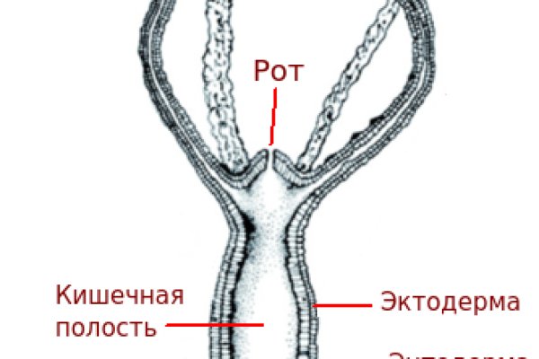 Зайти на кракен