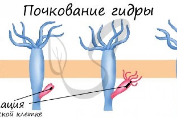 Кракен официальная ссылка kraken torion